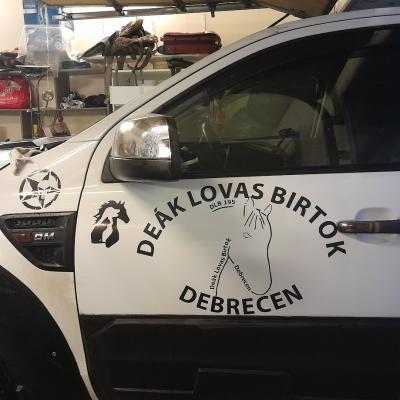 20231207 154332 20231207 154332