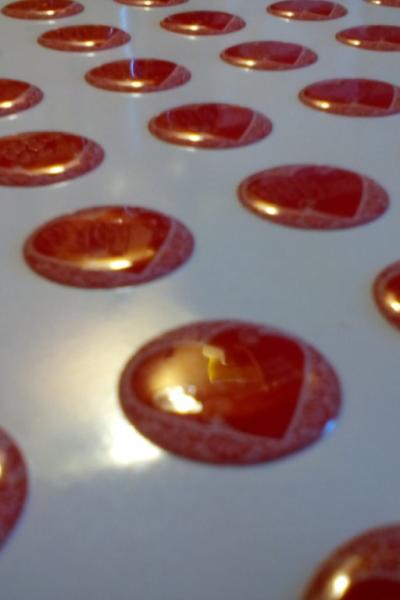 Img 20160613 083717 Img 20160613 083717