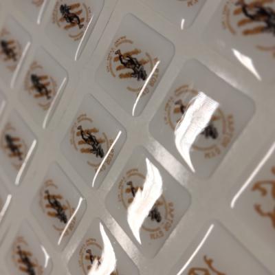 Img 20220930 121654 Img 20220930 121654