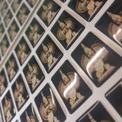 Img 20240429 095222 Img 20240429 095222