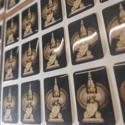 Img 20240429 095229 Img 20240429 095229