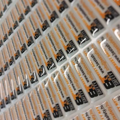 Img 20240724 065421 Img 20240724 065421