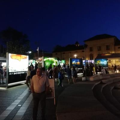 Img 20190815 202702 Img 20190815 202702