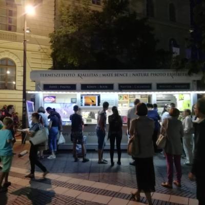 Img 20190815 202823 Img 20190815 202823