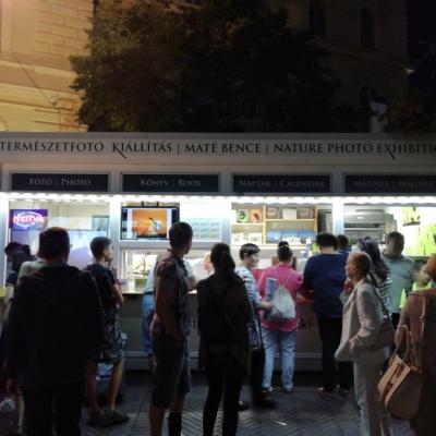 Img 20190815 202831 Img 20190815 202831