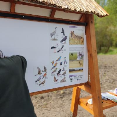 Img 20230429 092934 Img 20230429 092934