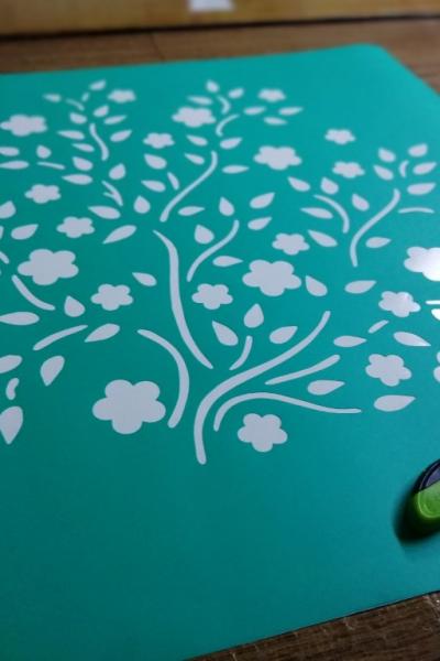 Img 20210809 122541 Img 20210809 122541