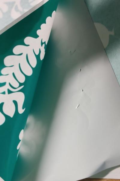 Img 20220922 124240 Img 20220922 124240