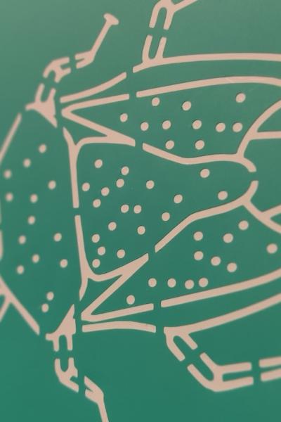 Img 20221129 135929 Img 20221129 135929