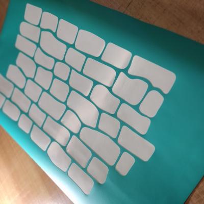 Img 20230306 104821 Img 20230306 104821