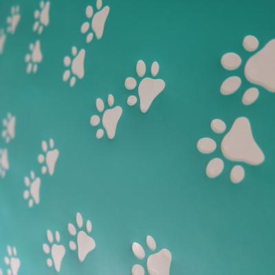 Img 20230310 085513 Img 20230310 085513