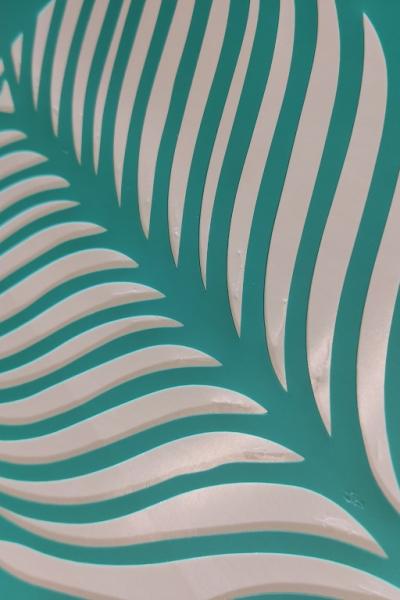 Img 20230811 111625 Img 20230811 111625