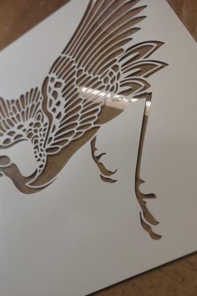 Img 20241207 181908 Img 20241207 181908