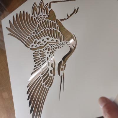 Img 20241207 181946 Img 20241207 181946