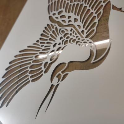 Img 20241207 182008 Img 20241207 182008