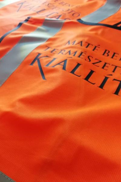 Img 20190305 213729 Img 20190305 213729