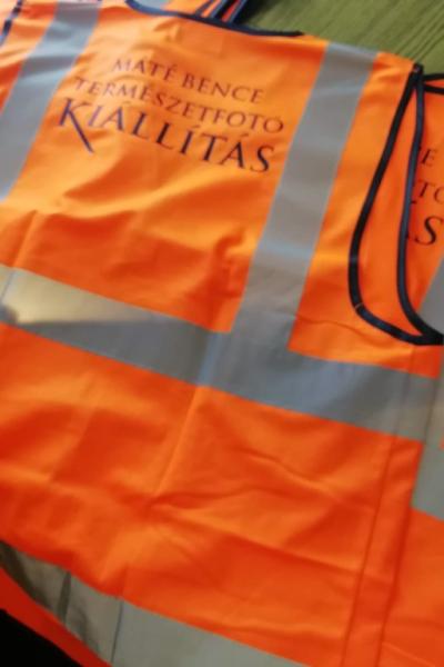 Img 20190305 213731 Img 20190305 213731