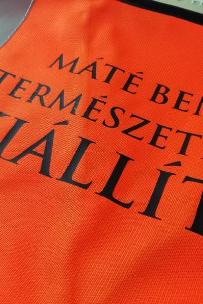 Img 20190305 213737 Img 20190305 213737