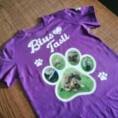 Img 20200221 105808 Img 20200221 105808