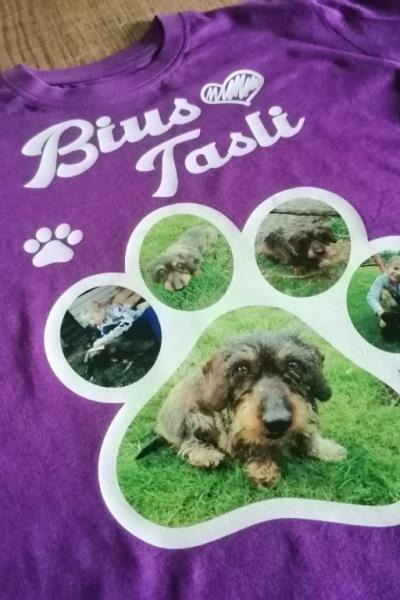 Img 20200221 105817 Img 20200221 105817